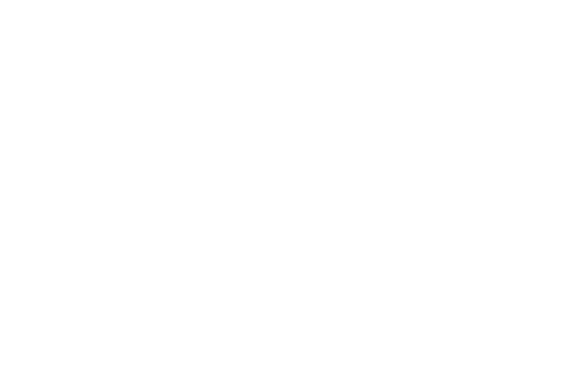 Zig